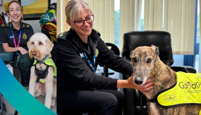 Two GoodDOGs with EEAST staff